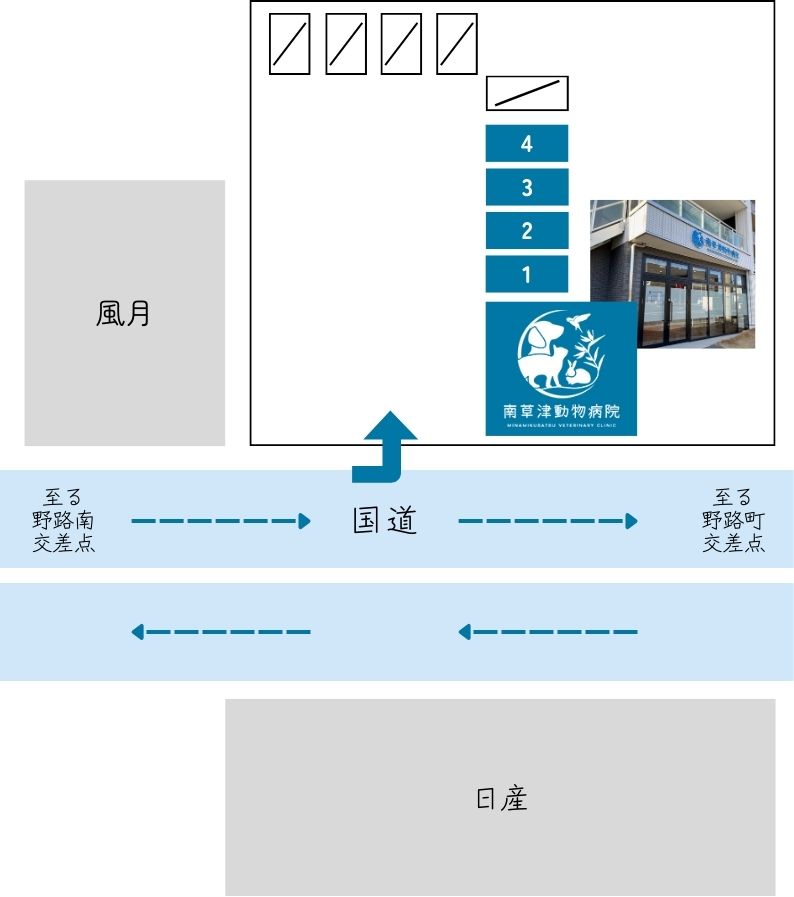 ※当院専用の駐車場は、1番から4番までのスペースをご利用いただけます。なお、満車の場合は近隣のコインパーキングなどをご利用ください。